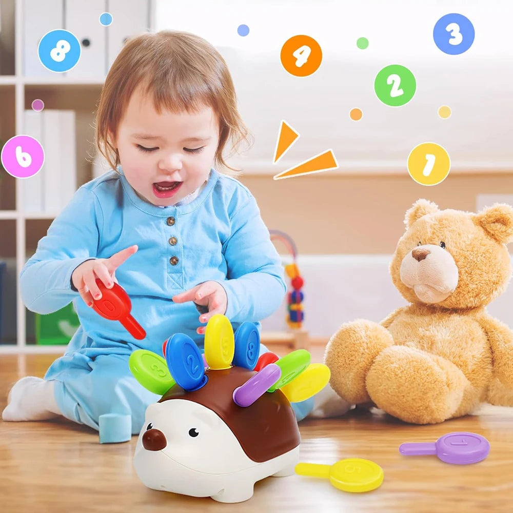 Montessori Hedgehog Toy