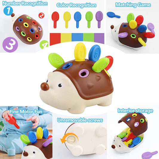 Montessori Hedgehog Toy