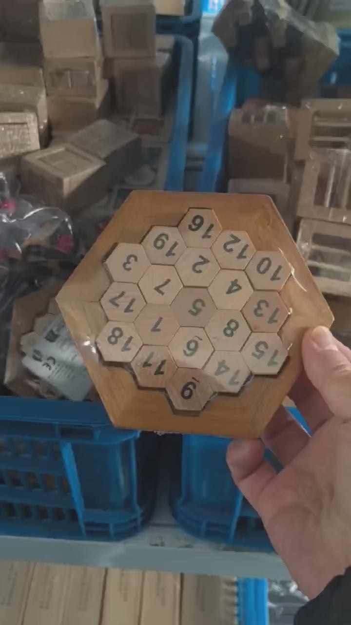 montessori-wooden-hexagon-sudoku-puzzle